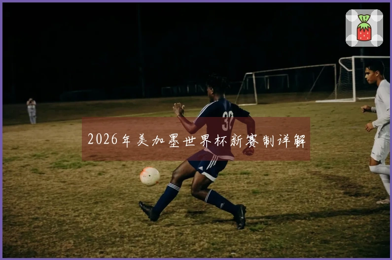 2026年美加墨世界杯新赛制详解